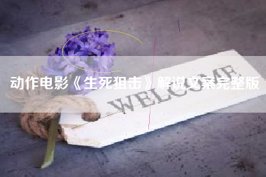 动作电影《生死狙击》解说文案完整版