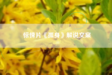 惊悚片《孤身》解说文案