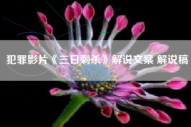 犯罪影片《三日刺杀》解说文案 解说稿