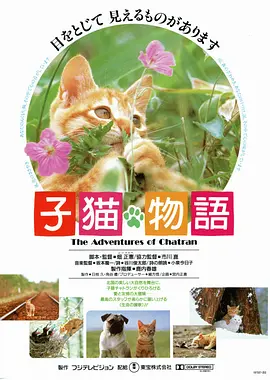 冒险《子猫物语》电影解说文案（子猫物语 豆瓣）