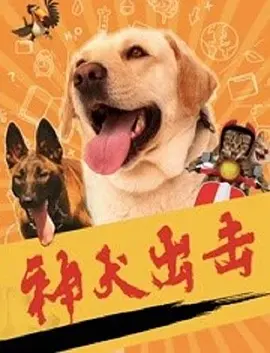 喜剧电影《神犬出击》解说文案